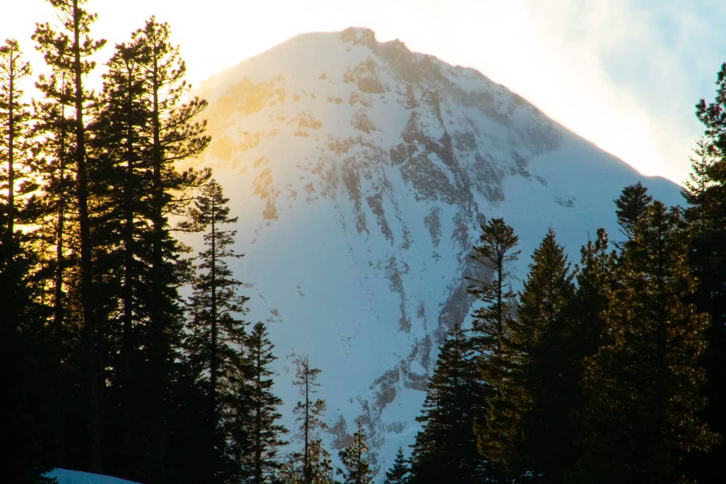 Cooper Spur Mt Hood with trees