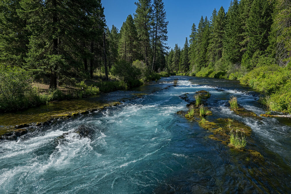 wizard falls fish hatchery