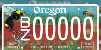 The new bee pollinator license plate, Two bees fly in front of a blue sky and a red clover field.