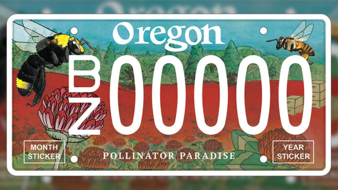The new bee pollinator license plate, Two bees fly in front of a blue sky and a red clover field.