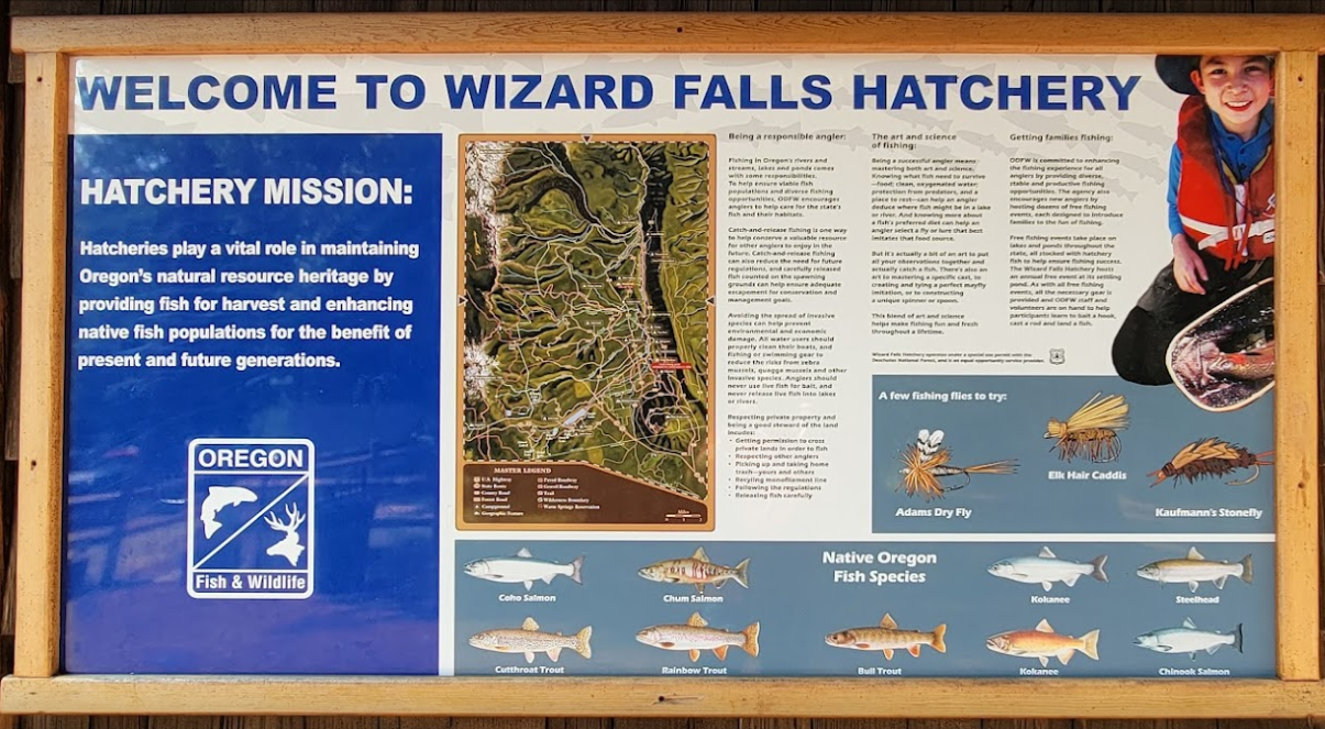 wizaed falls fish hatchery