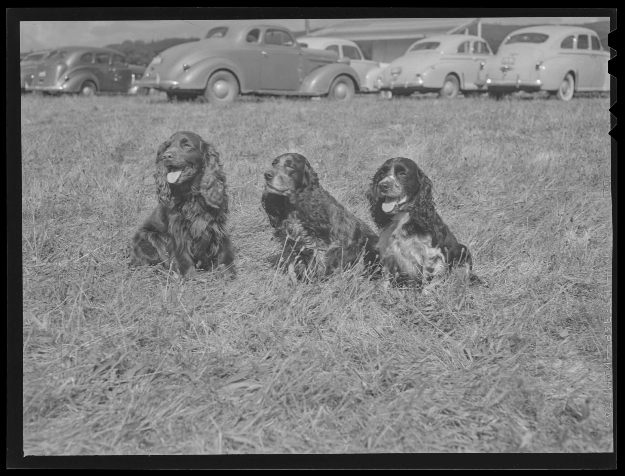 al monner oregon WWII photographs