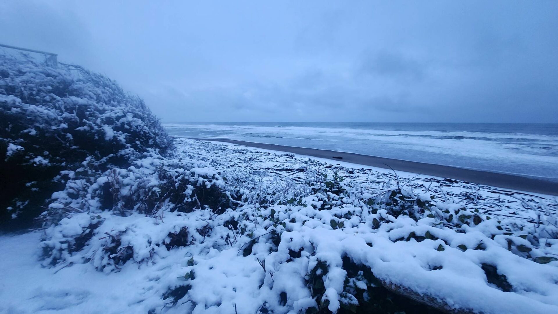 📸 Photos: A Rare Snow Day On The Oregon Coast