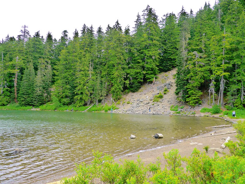 The shore of Frog Lake with green pine trees.