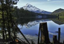Lost Lake and Mount Hood as seen from the Lost Lake Loop Trail.