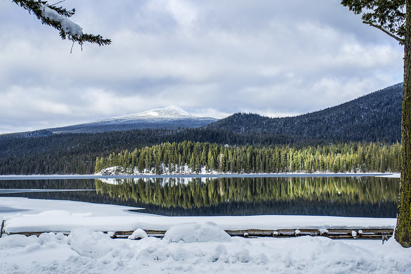 Odell Lake in the winter.  White snow, and green pine trees reflect in the still waters of the lake on a cloudy day.