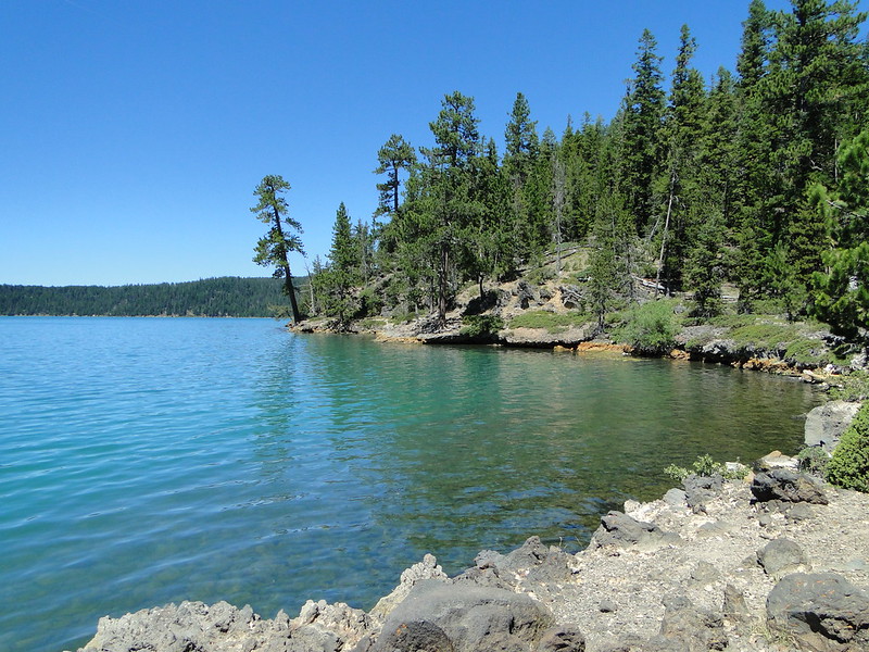 The shore of Paulina lake.
