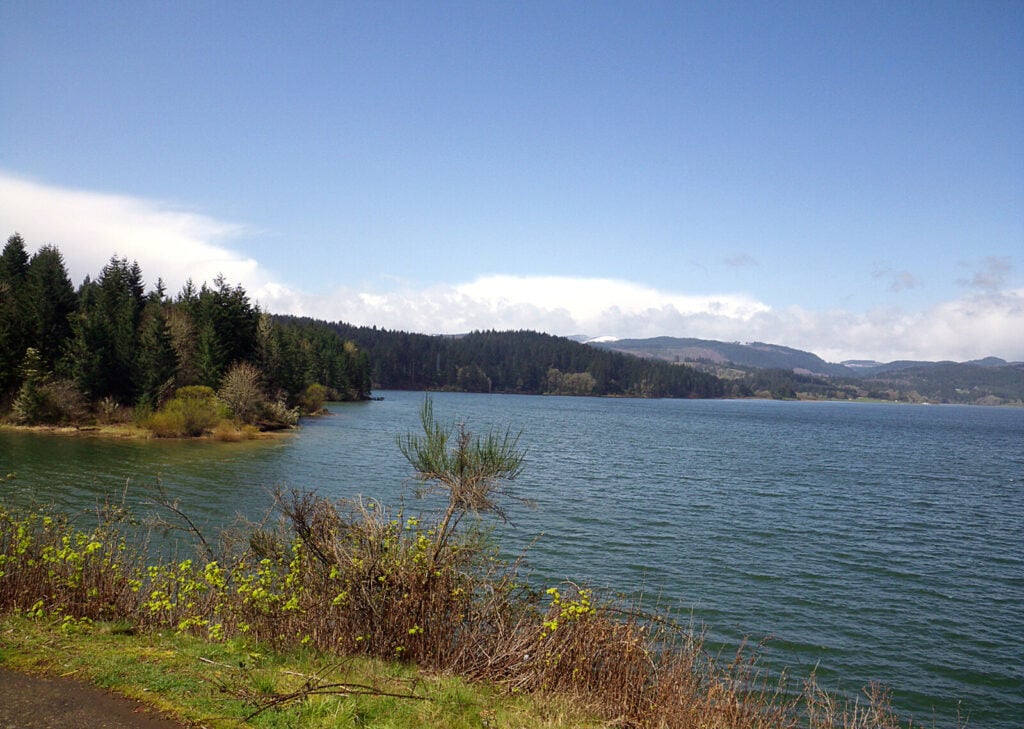 Henry Hagg Lake and its wooded shoreline