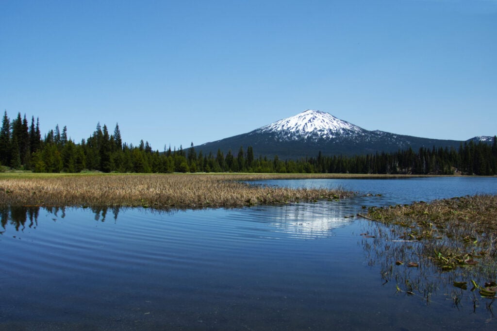 Mount Bachelor above Hosmer Lake and marsh grasses