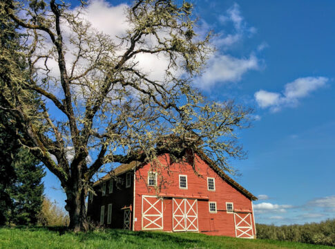 The Ultimate Guide to Corvallis, Oregon: Uncovering the City's Best ...