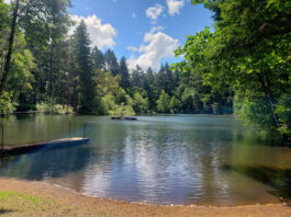 The Ultimate Guide to Corvallis, Oregon: Uncovering the City's Best ...