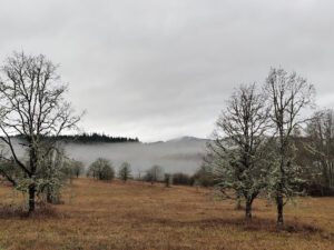 The Ultimate Guide to Corvallis, Oregon: Uncovering the City's Best ...