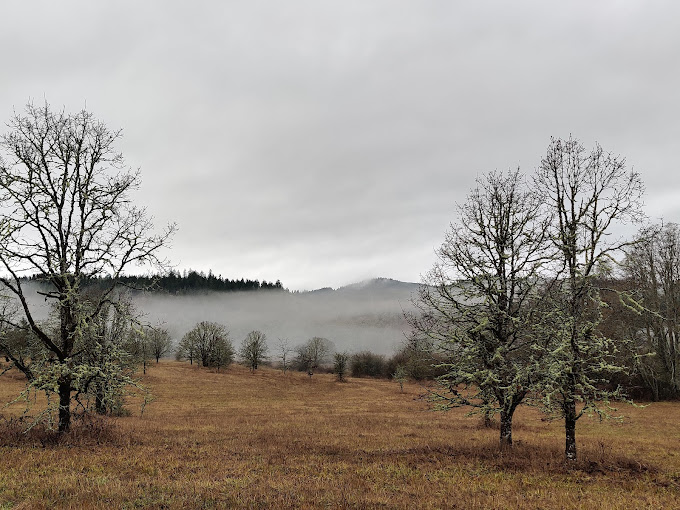 bald hill corvallis or