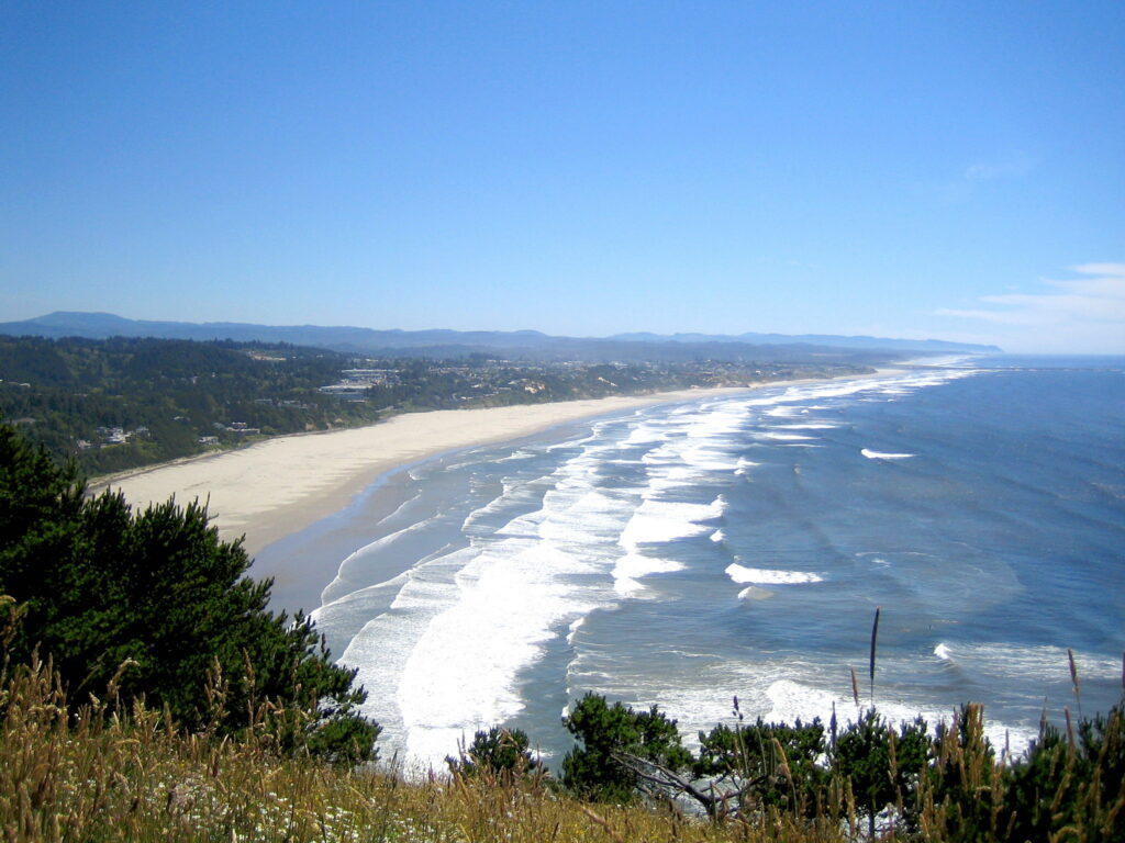 aerial shot of agate beach near newport oregon