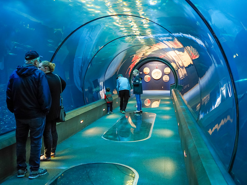 aquarium in oregon