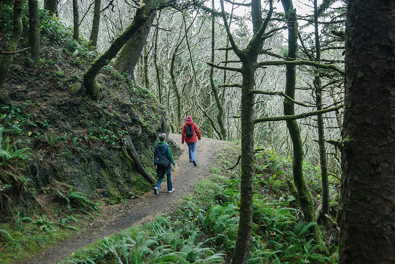 Two people on a hiking trail in the forest at Ecola State Park.