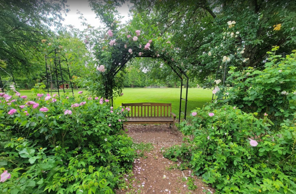 avery park rose garden