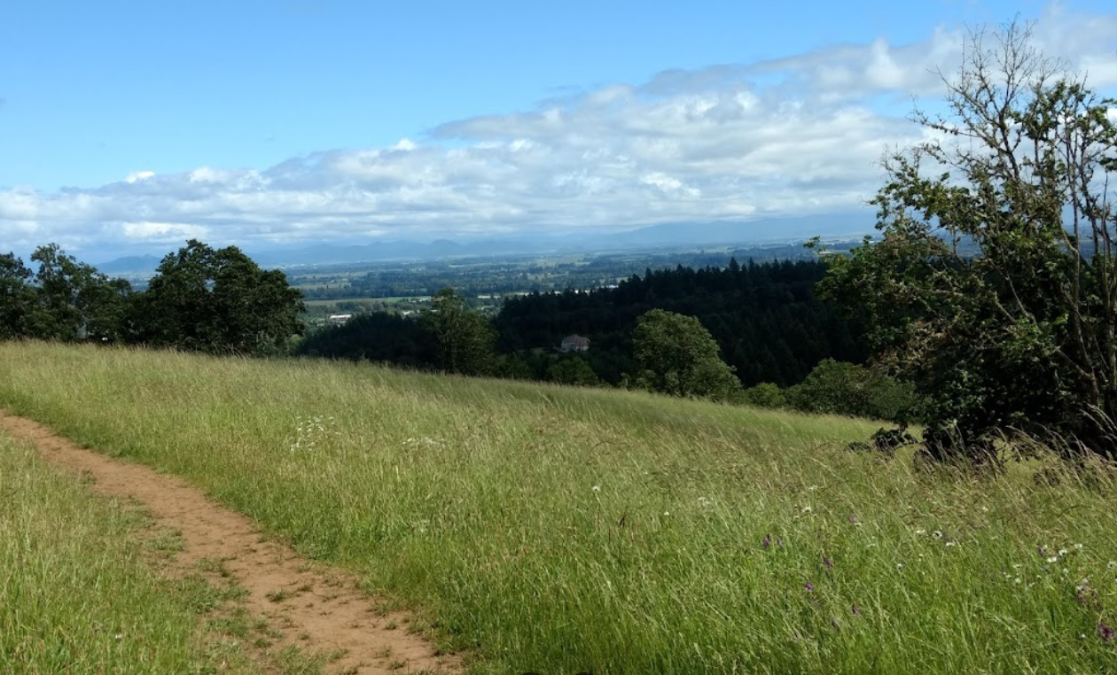 The Ultimate Guide to Corvallis, Oregon: Uncovering the City's Best ...
