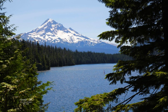 mount hood national forest