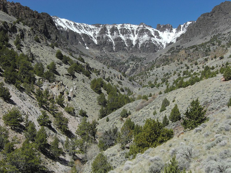 pike creek canyon