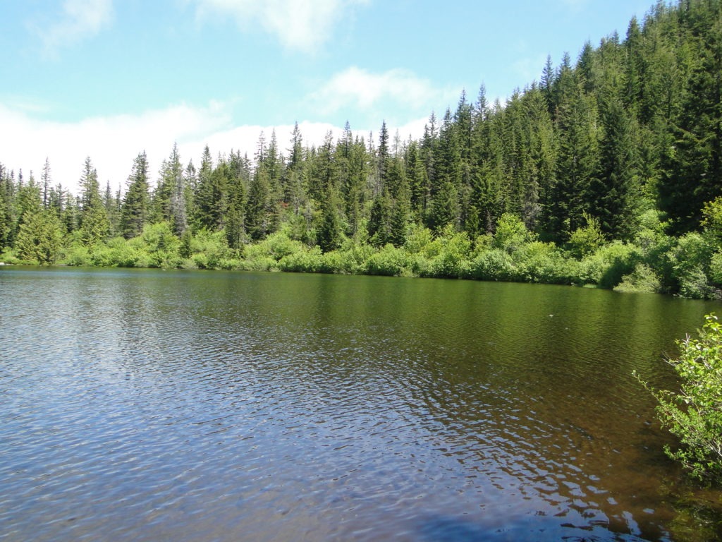 hikes in bend