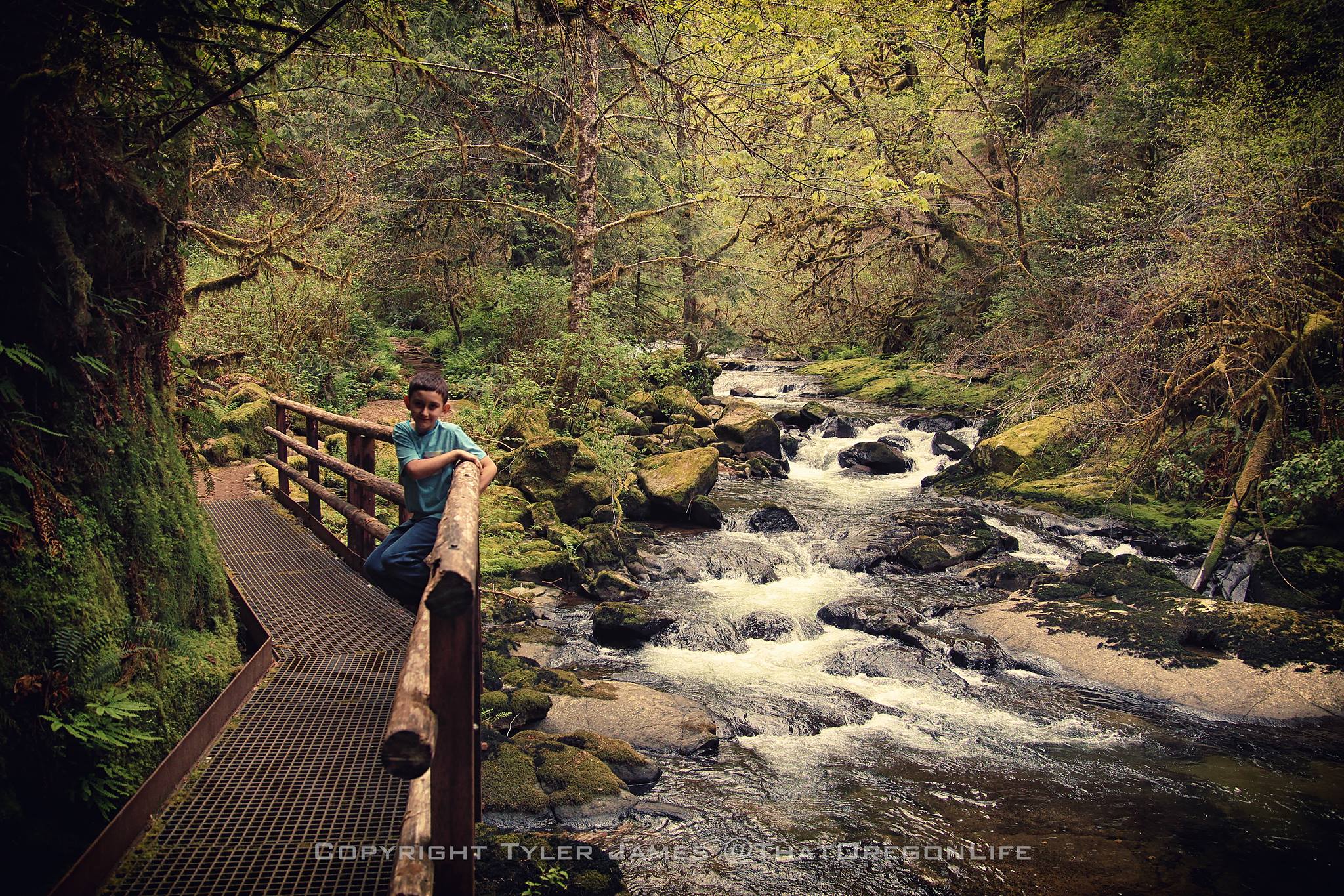 Sweet Creek Falls