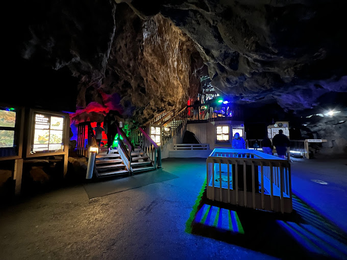 sea lion caves obesrvation deck