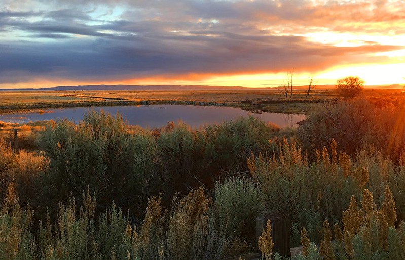 Malheur Wildlife Refuge, wilderness acres designated, entire trip, BLM, oregon department of fish and wildlife