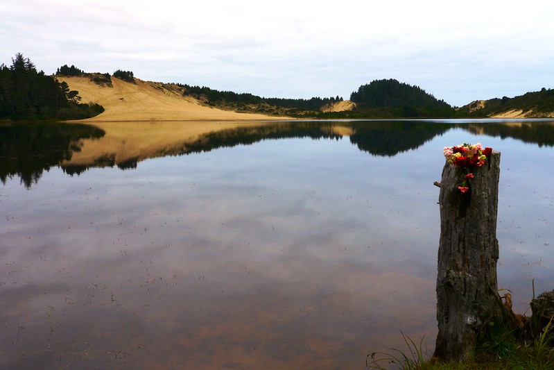 cleawox lake, honeyman state park, oregon