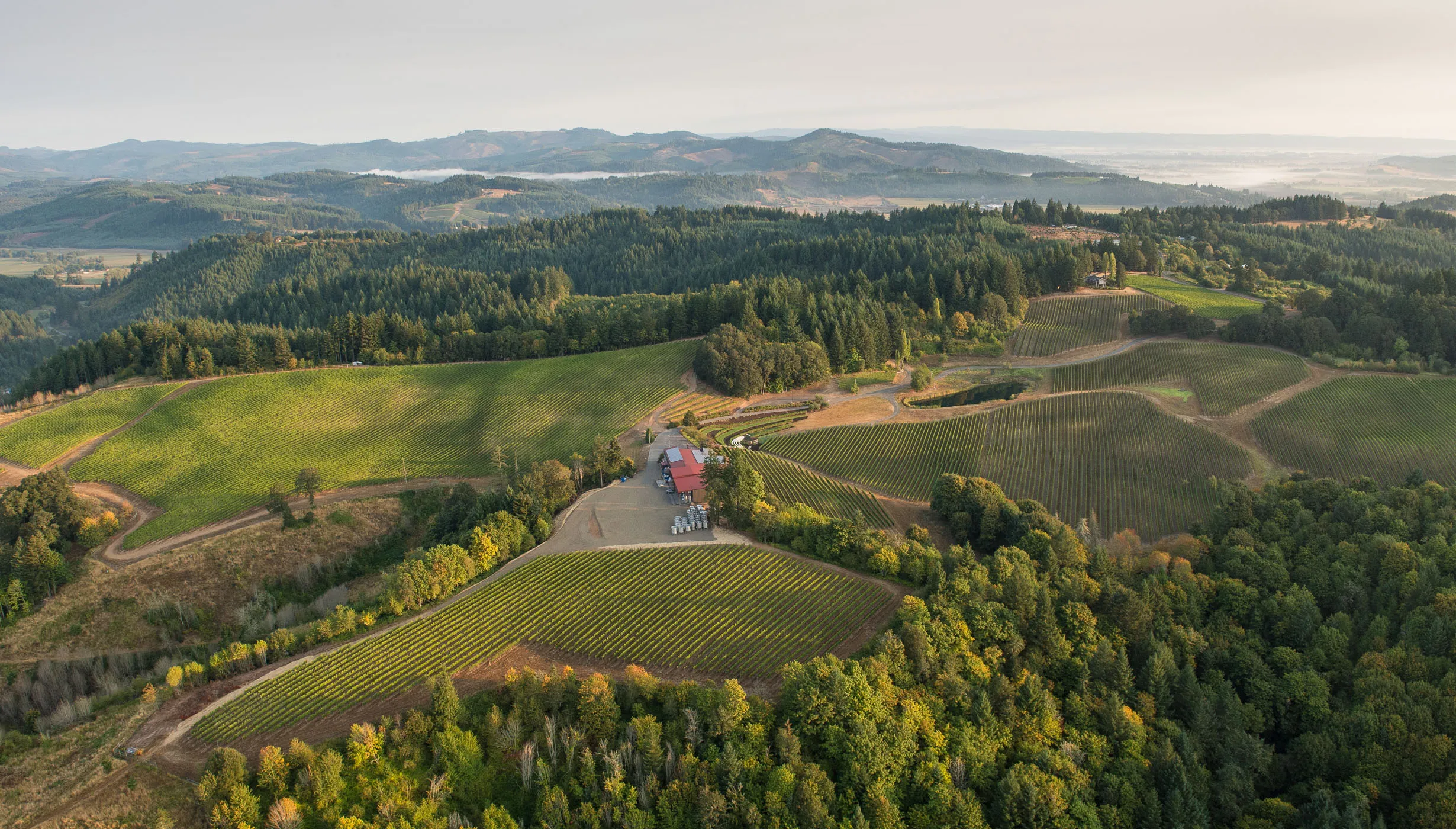 estate grown wines