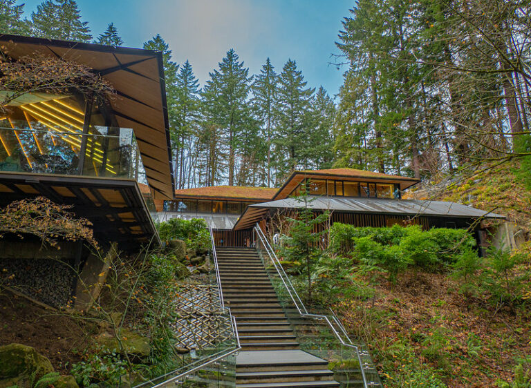 A Walk Through Portland's Tranquil Japanese Gardens