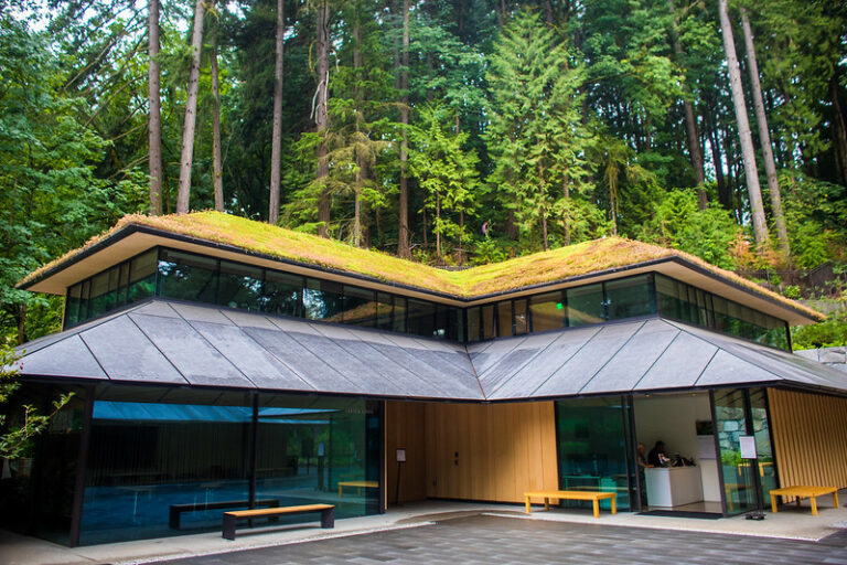 A Walk Through Portland's Tranquil Japanese Gardens