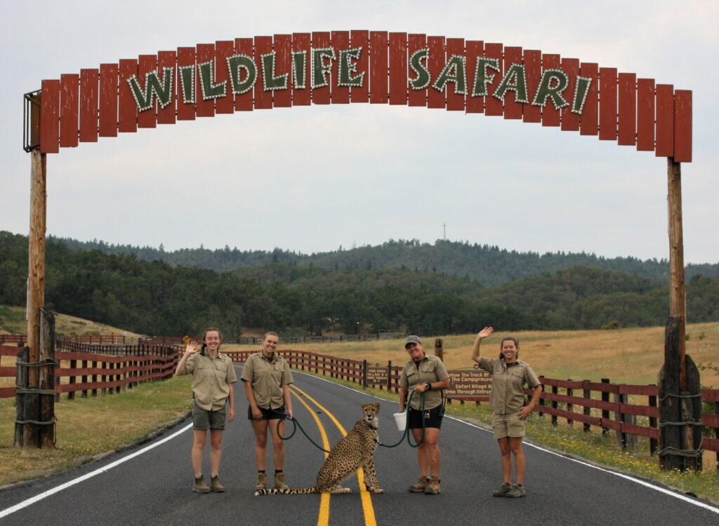 Exploring The 600-Acre Oregon Wildlife Safari Park