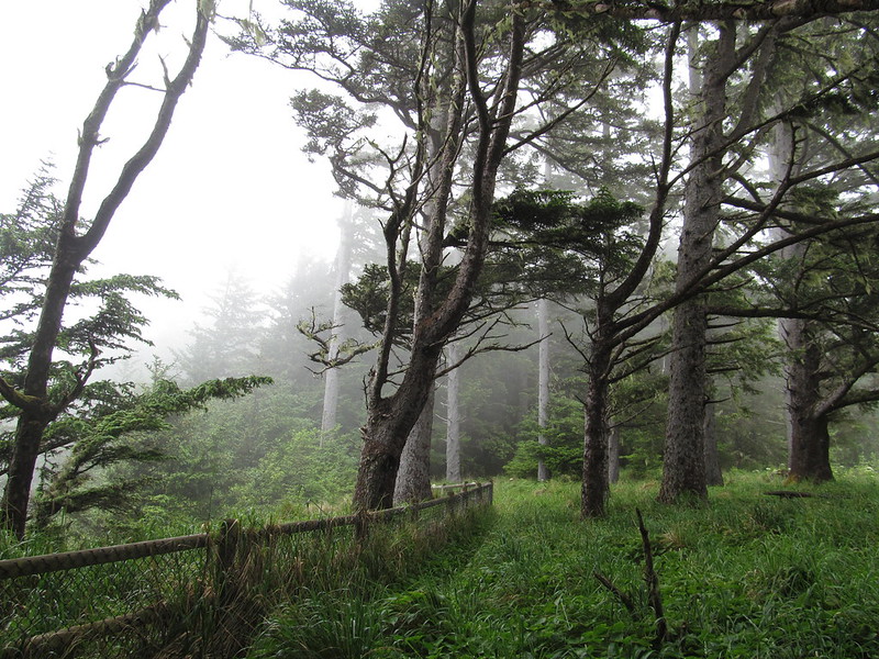 oregon coast trail