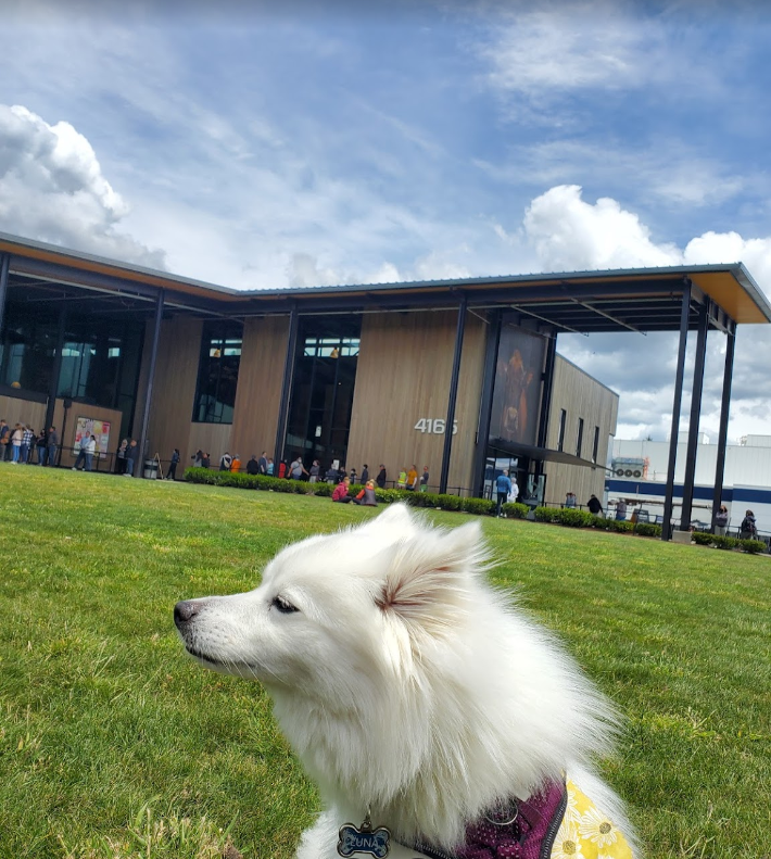 tillamook cheese factory tour oregon