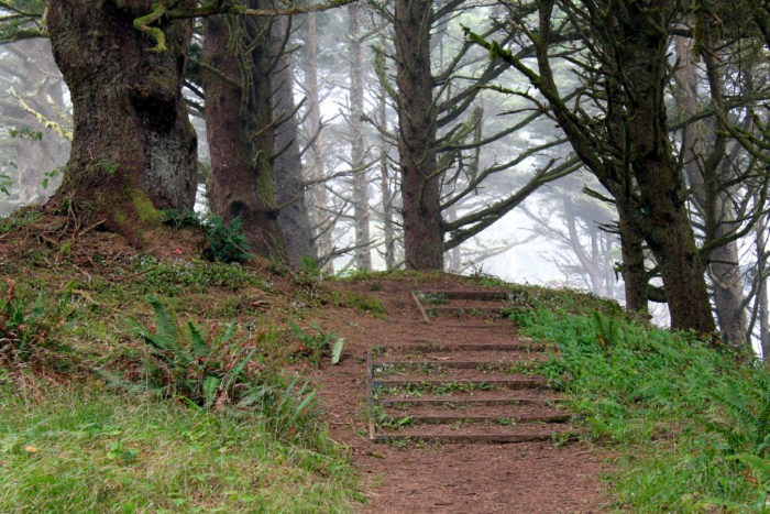 Hobbit Trail Near Florence, oregon coast trail distance