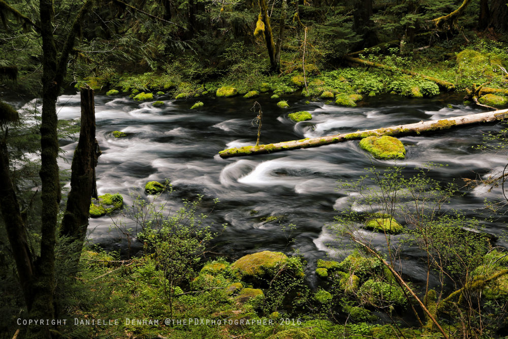 deschutes river trail distance