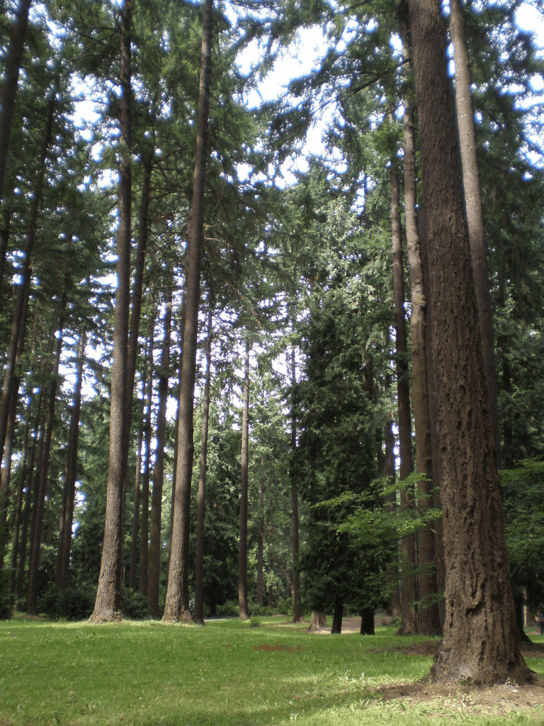 parks in portland