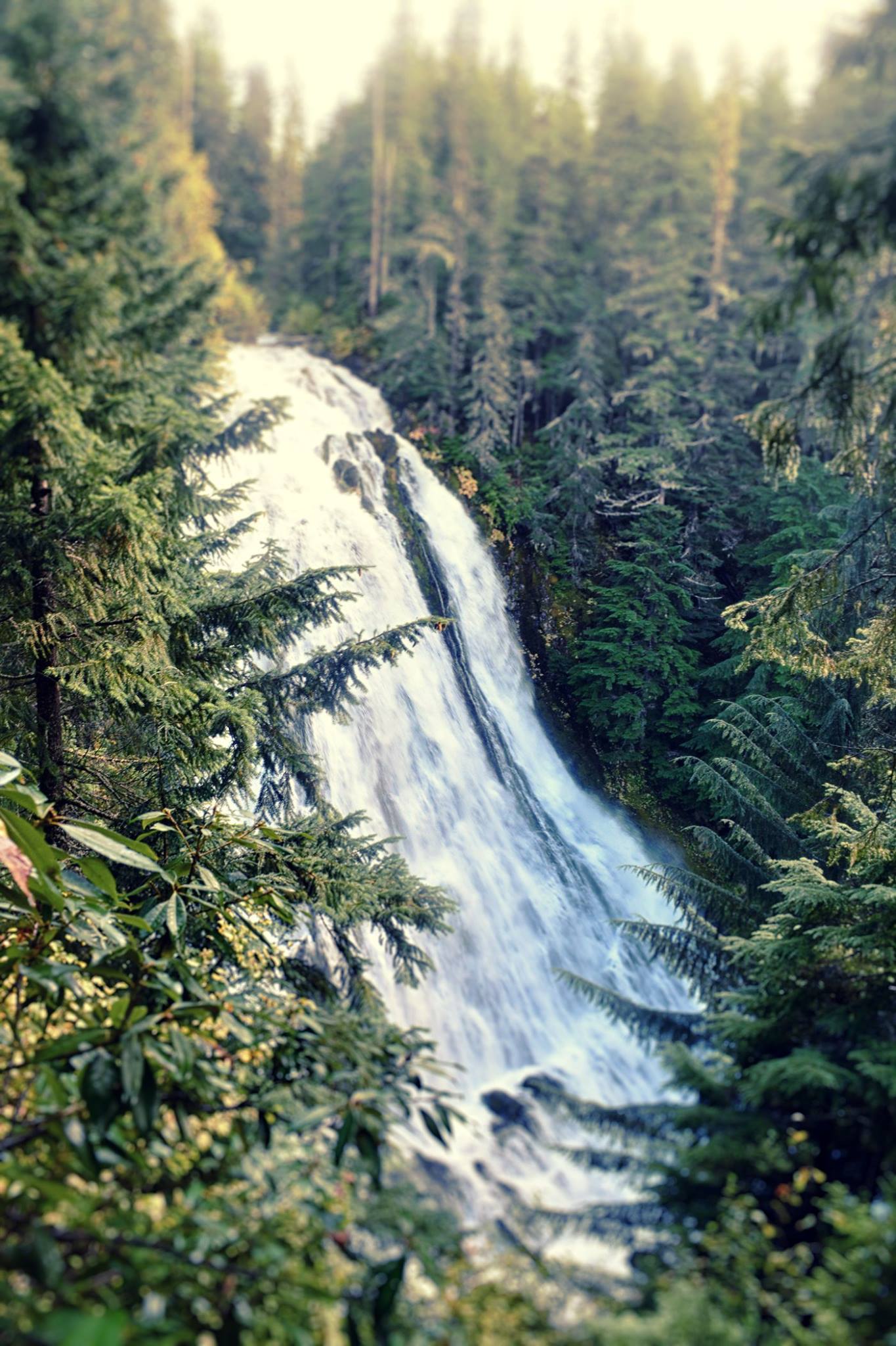 diamond creek falls