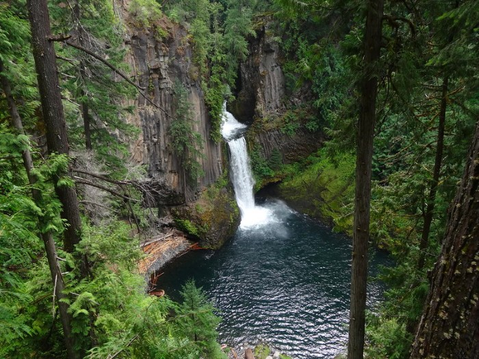 Toketee Falls, timberline trail