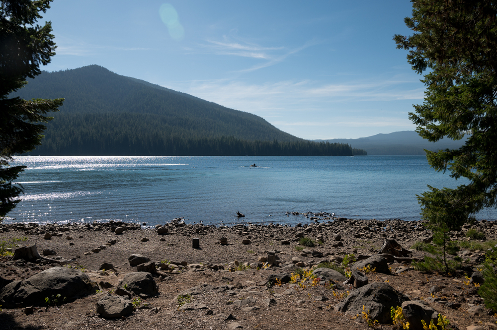 Odell Lake Kokanee Kit