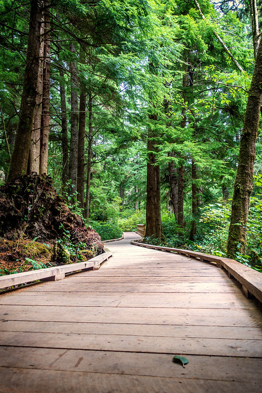 Nehalem Spit Trail