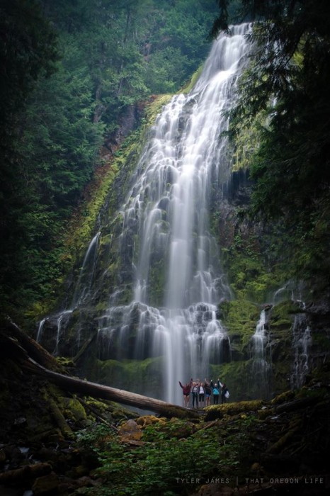 mckenzie river trail