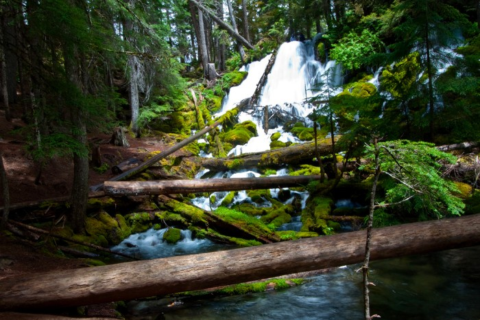 clearwater falls