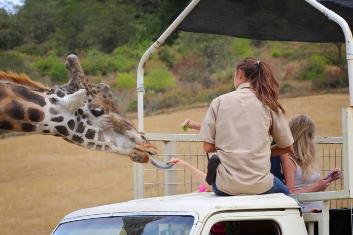 wildlife safari oregon jobs