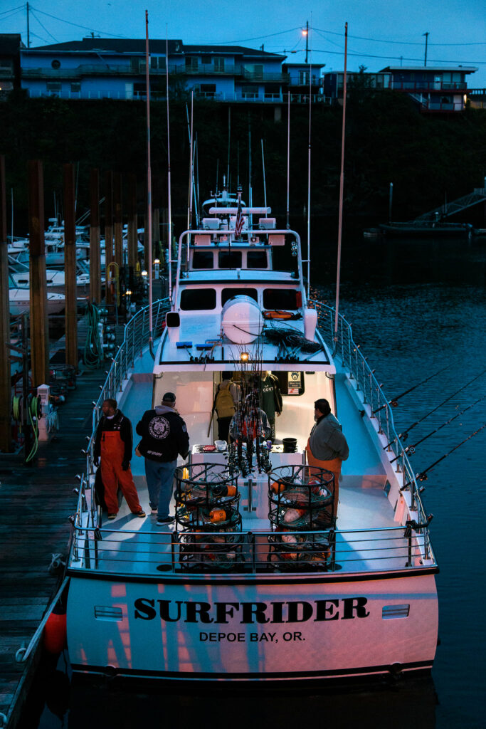 whale tour oregon coast