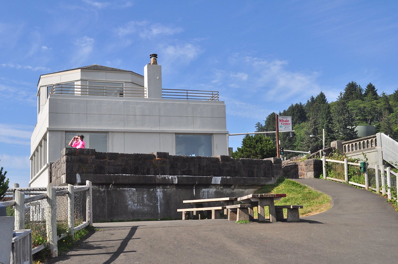 whale watching tour depoe bay oregon