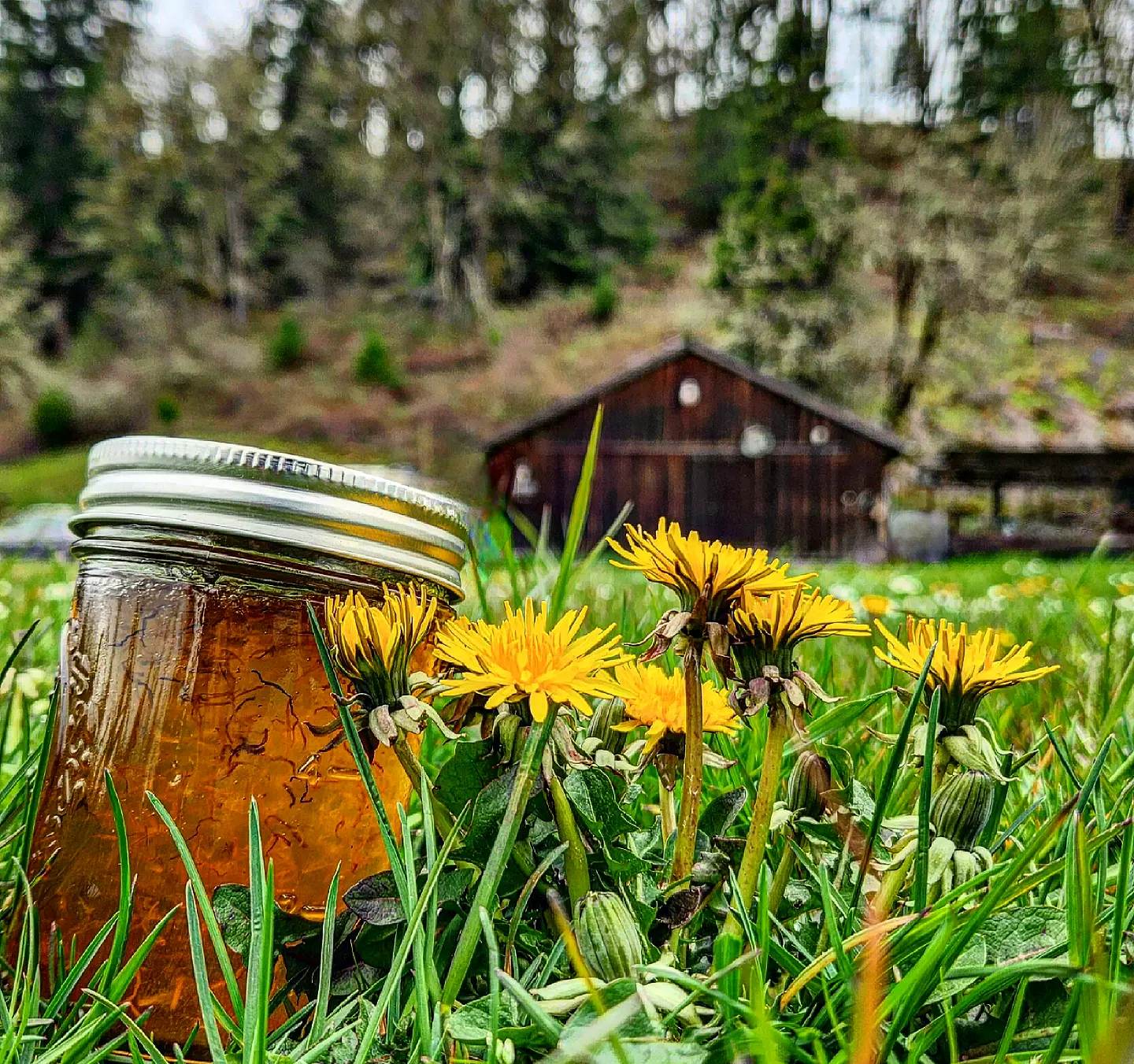New Small Town Saturday Market in Oregon Kicks Off As Warmer Weather Sets