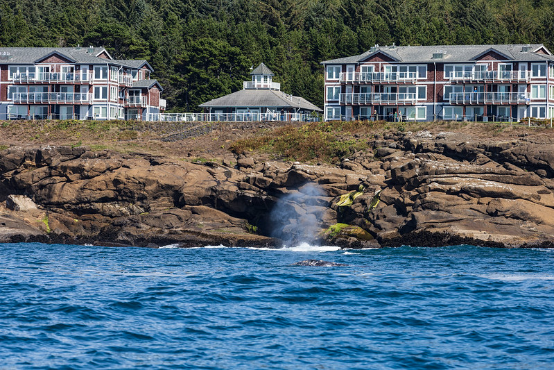 Depoe Bay, whale spout