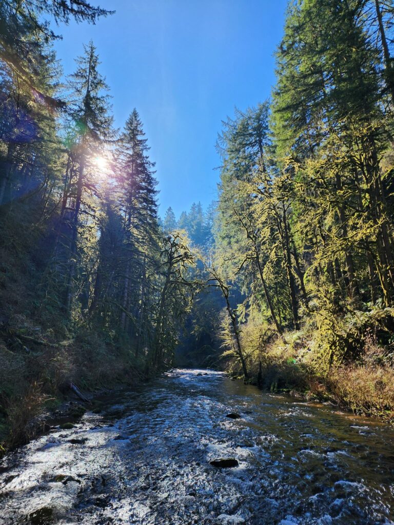 abiqua falls, scotts mills, silverton, oregon, for sale, waterfall being sold, natural landmark, redfin, zach urness, statesman journal, abbey foundation of oregon